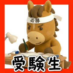 [LINEスタンプ] がんばる受験生うまくいく！