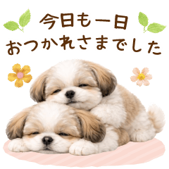 [LINEスタンプ] 気持ち伝わる癒やしシーズー