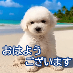[LINEスタンプ] 毎日明るく使う♡アロハいぬ