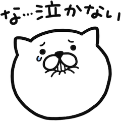 [LINEスタンプ] つかいやすいねこです。叱られリアクション
