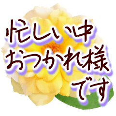 [LINEスタンプ] やさしい大人の花敬語✿一年中ずっと使える