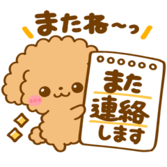 [LINEスタンプ] 会話の最初に♡トイプードル