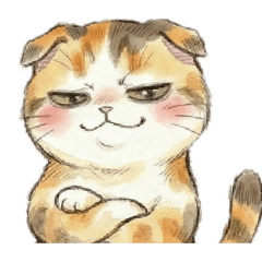 [LINEスタンプ] 表情と動きで伝えるふてぶてしくて可愛い猫