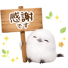 [LINEスタンプ] 気持ち伝わる癒やしシマエナガ