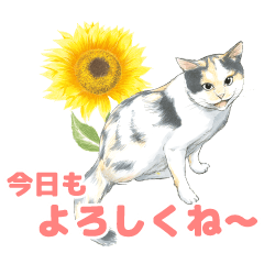 [LINEスタンプ] 『続 ミケちゃんとやすらぎさん』スタンプ