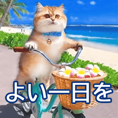 [LINEスタンプ] 毎日最高に楽しむネコ♡ミヌエット