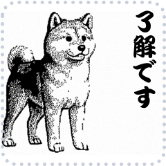 [LINEスタンプ] 犬の メッセージ スタンプ 43