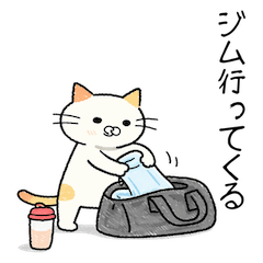 [LINEスタンプ] 筋トレ好き同士で使えるゆる猫の日常会話