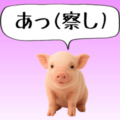 [LINEスタンプ] 【ネタ・煽る】会話が盛り上げる！面白い豚