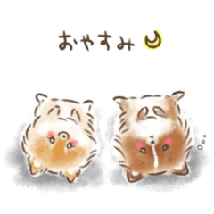 [LINEスタンプ] ポメラニアンのKuma＆Hachi
