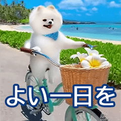 [LINEスタンプ] 毎日最高に楽しむイヌ♡ポメラニアン