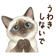 [LINEスタンプ] 可愛ちこ❤️シャム猫(恋人の浮気を疑う)