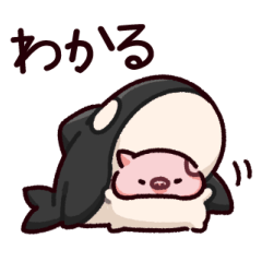 [LINEスタンプ] シャチのぶた