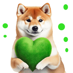 [LINEスタンプ] 病院スタンプ☆でか文字柴犬