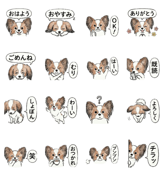 パピヨン日常♪定番、ずっと使える！のスタンプ詳細