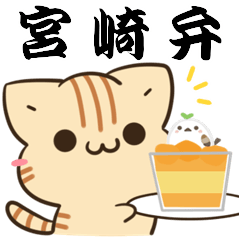 [LINEスタンプ] 宮崎弁の茶トラ猫とシマエナガ