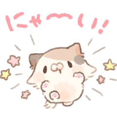 [LINEスタンプ] こだま となりのにゃんこ