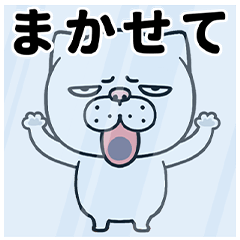 [LINEスタンプ] 無表情ねこ：シンプルで使いやすい日常語