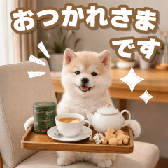 [LINEスタンプ] 動く☆毎日使える癒やし柴犬