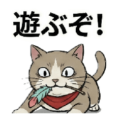 [LINEスタンプ] 1言で返せる！使える、猫スタンプ！