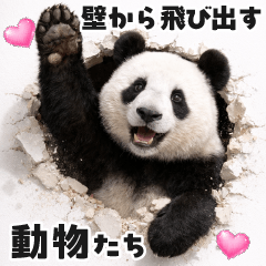 [LINEスタンプ] 壁から飛び出す動物たち