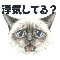 [LINEスタンプ] うざかわ猫顔面(恋人に嫉妬するシャム猫)