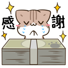 [LINEスタンプ] 気持ちを伝える♡毎日五月病なねこたち3