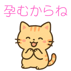 [LINEスタンプ] 【下品】大人向けの台詞多めの猫スタンプ