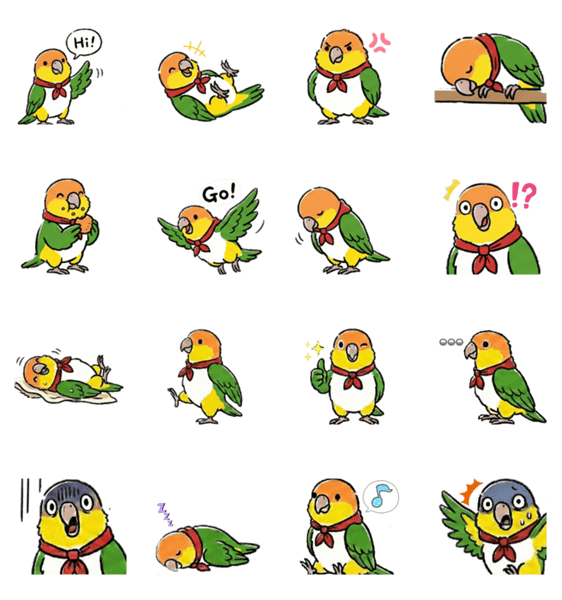 顔で伝える☆シロハラインコ！一生使えるのスタンプ詳細