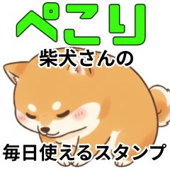 [LINEスタンプ] 柴犬さんの毎日使えるスタンプ