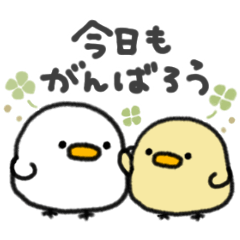 [LINEスタンプ] 伝えあう＊しろいトリ＆きいろのトリ＊