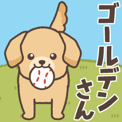 [LINEスタンプ] 飛びだす！元気いっぱいのゴールデンさん