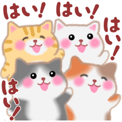 [LINEスタンプ] 4匹のぽちゃりねこ「いろいろ言葉」