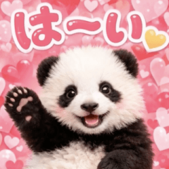 [LINEスタンプ] 飛び出す♡だいすきパンダ