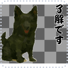 [LINEスタンプ] 犬の メッセージ スタンプ 76