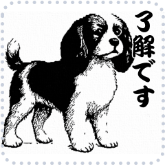 [LINEスタンプ] 犬の メッセージ スタンプ 36