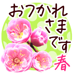 [LINEスタンプ] 春✿明るい花で幸せ呼び込む✿やさしい声かけ