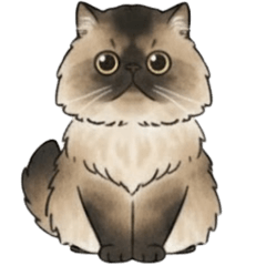 [LINEスタンプ] ゆずのねこスタンプ 日常