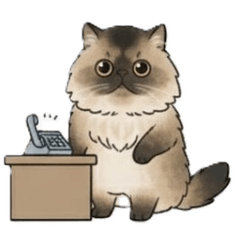 [LINEスタンプ] ゆずのねこスタンプ お仕事