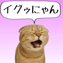 [LINEスタンプ] 【ネタ】会話を盛り上げる面白いネコ