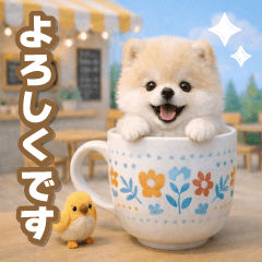 [LINEスタンプ] 飛び出す☆毎日使える癒やしポメラニアン