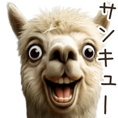 [LINEスタンプ] ⚫動く！うざいアルパカ【ムカつく/ウザい】