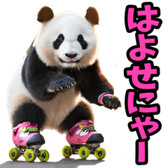 [LINEスタンプ] 静岡弁☆パンダ