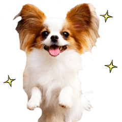 [LINEスタンプ] リアル☆パピヨン