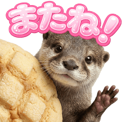 [LINEスタンプ] 毎日つかえるカワウソ2【ぷっくり文字】