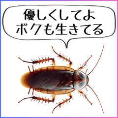 [LINEスタンプ] 毎日使えるゴキブリ
