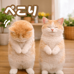 [LINEスタンプ] 飛び出す☆毎日使える癒やしニャンコ