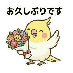 [LINEスタンプ] 日常敬語☆ずっと使えるオカメインコ