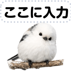 [LINEスタンプ] シマエナガの可愛いメッセージスタンプ