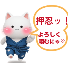 [LINEスタンプ] 格闘家猫のドラ君のスタンプ